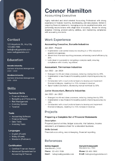 Professional CV Sample 10